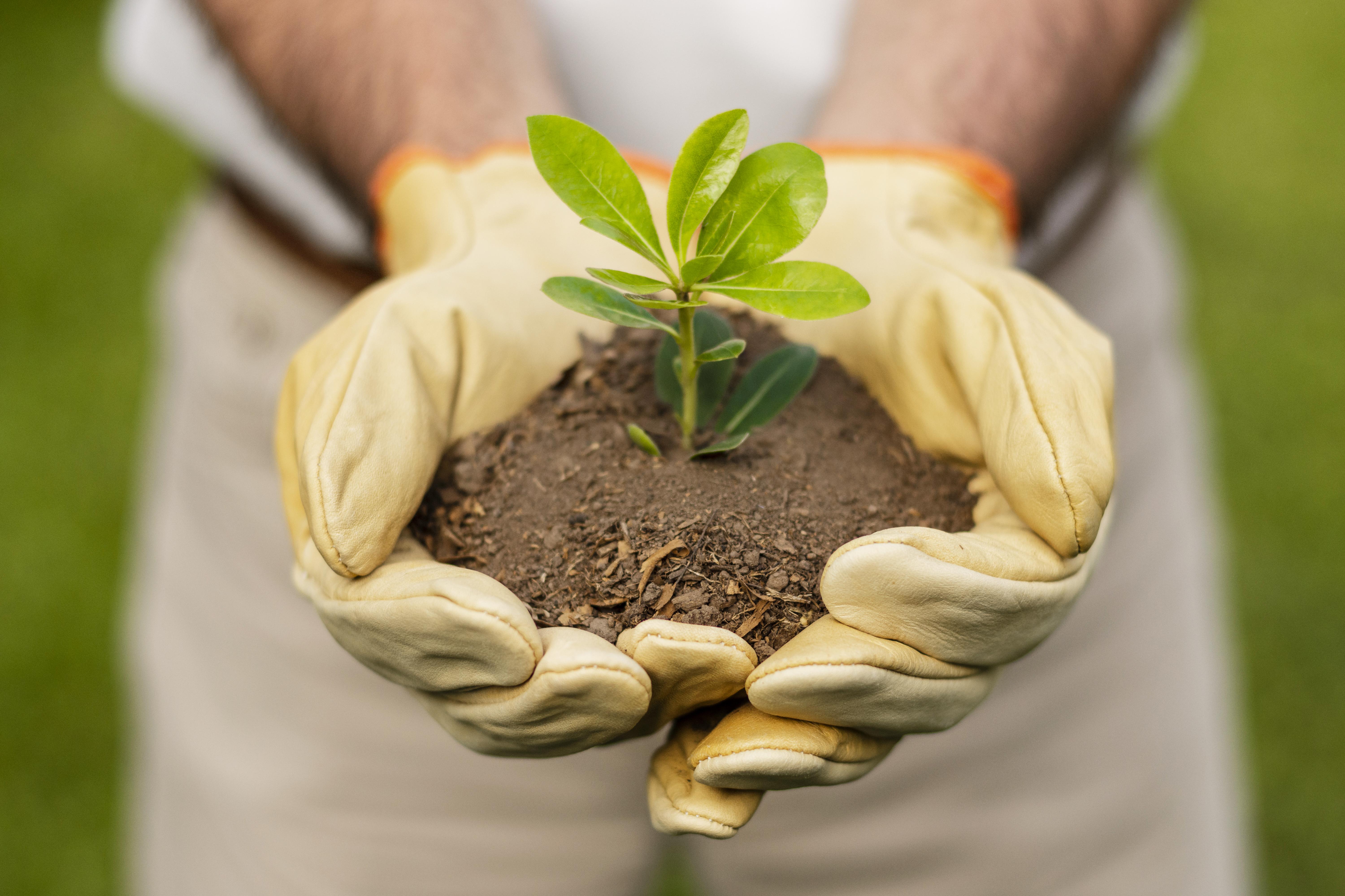 af06f36c-b918-4746-bc47-e11e3e0c24a8